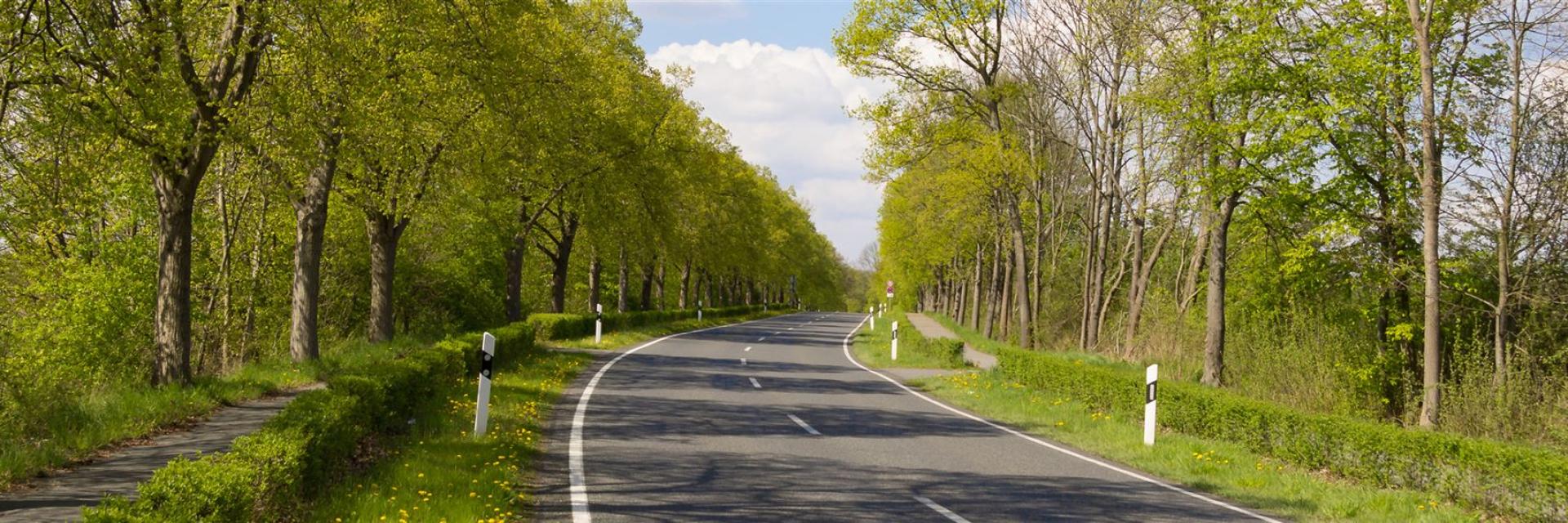 24 Header Landstrasse Allee