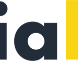 vialytics-Logo_grau-gelb_CMYK